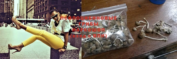 круглые Новодвинск