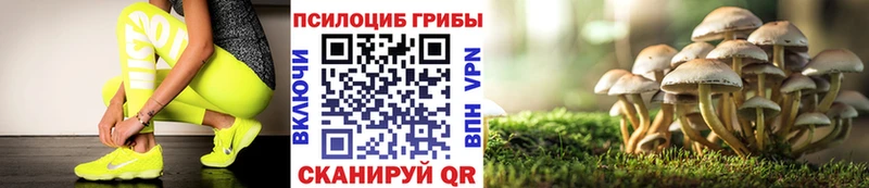 мега ONION  Нелидово  Галлюциногенные грибы Cubensis  где продают  